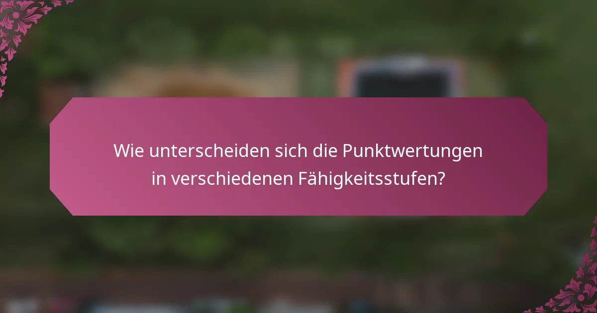 Wie unterscheiden sich die Punktwertungen in verschiedenen Fähigkeitsstufen?